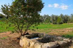 masseria-causio-18-2026