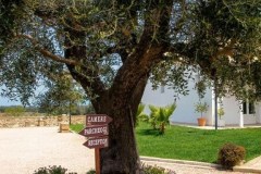 masseria-causio-22-2026