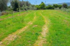 masseria-causio-30-2026