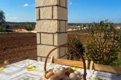 masseria-causio-31-2026