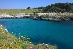 porto-badisco